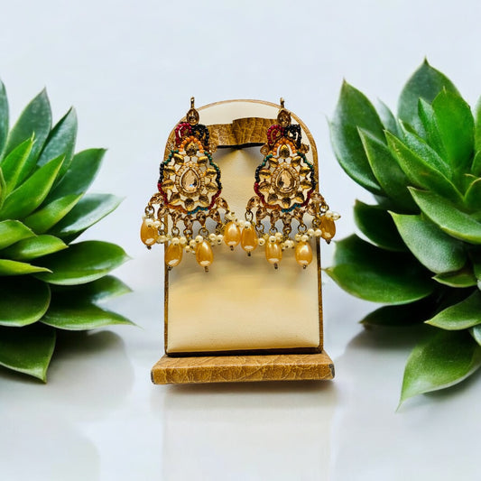 Earrings