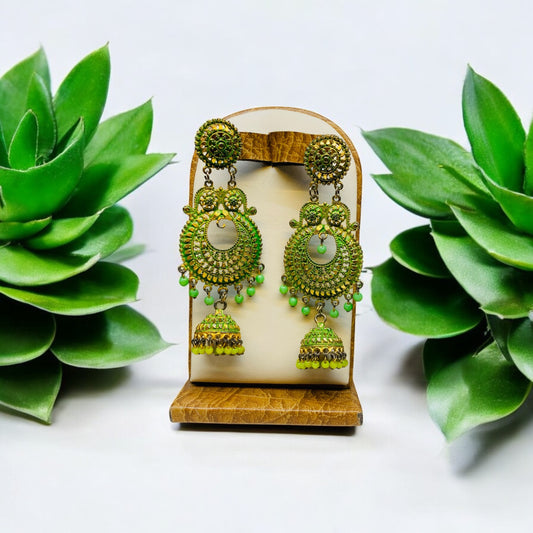 Earrings